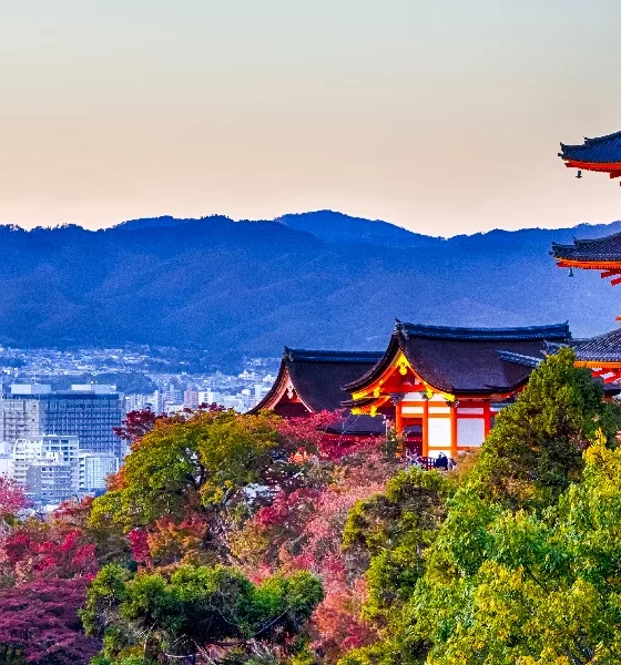 Must-Visit in Kyoto