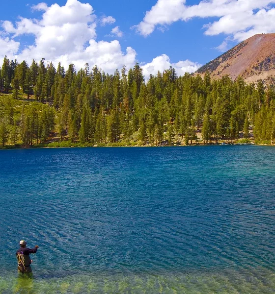 Interesting Sights in Lake George