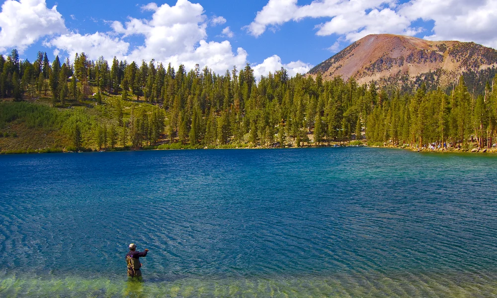 Interesting Sights in Lake George