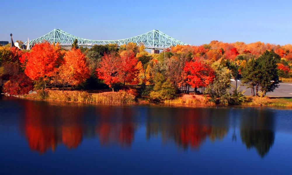 Amazing Things to do in Montreal