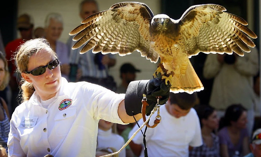 John L. Borom Alabama Birdfest