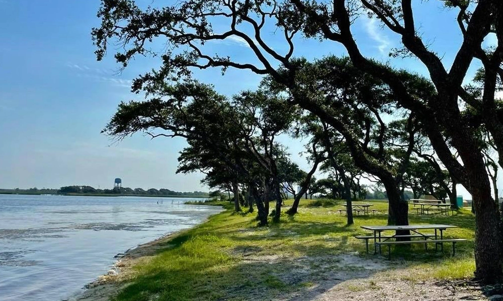 Dog Park at Lake Shelby