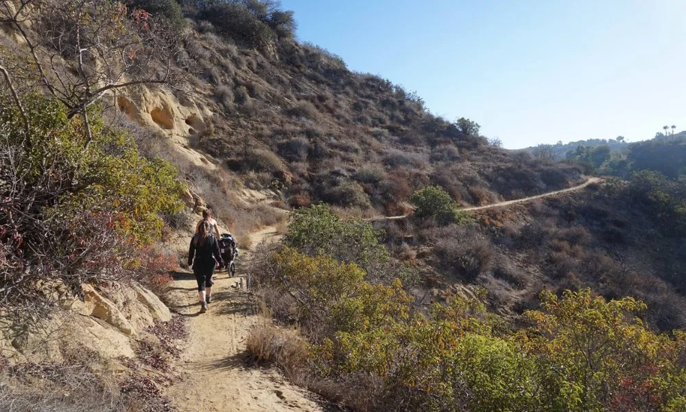 Anaheim Oak Canyon Nature Center