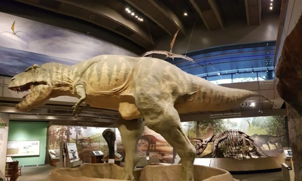 Boston Museum of Science