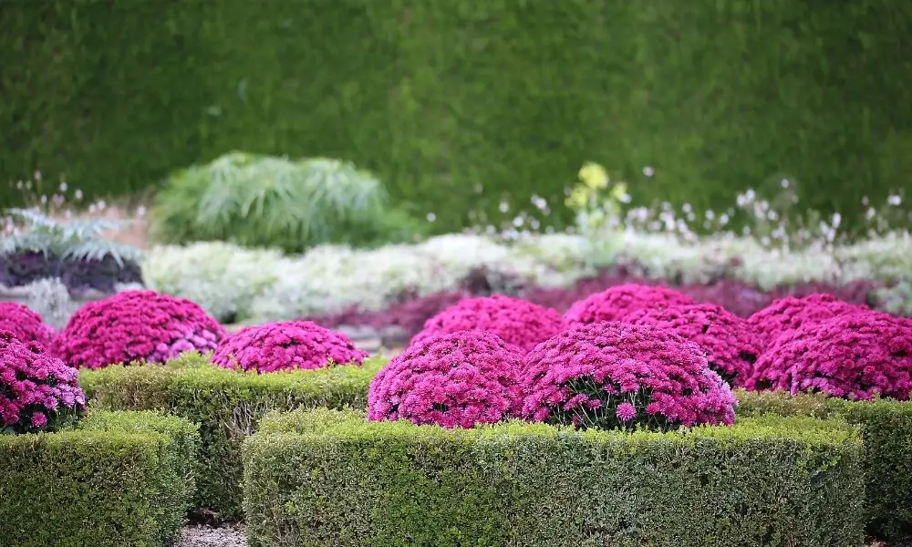 Niagara Parks Botanical Gardens