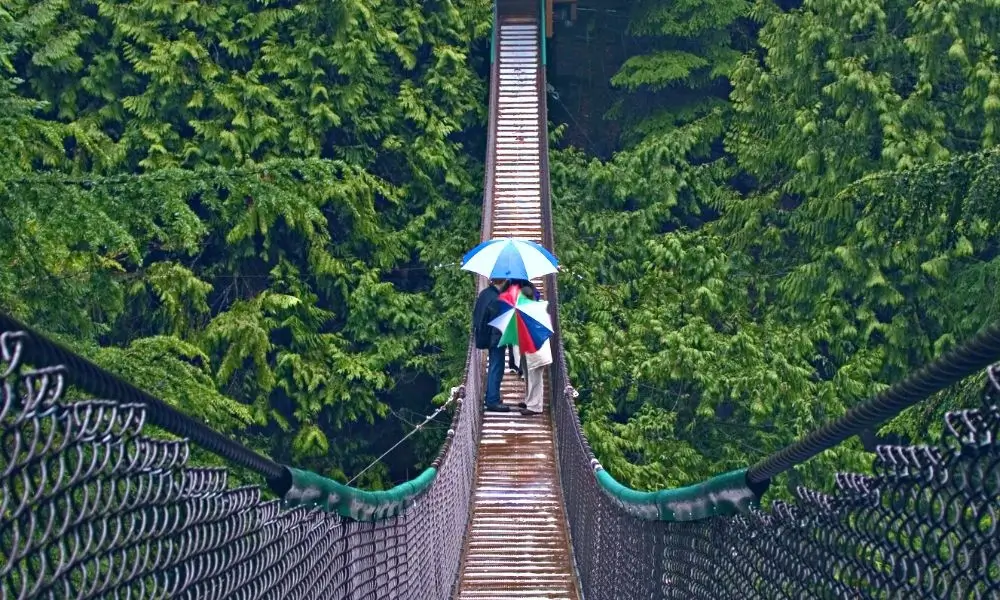 Lynn Canyon Park