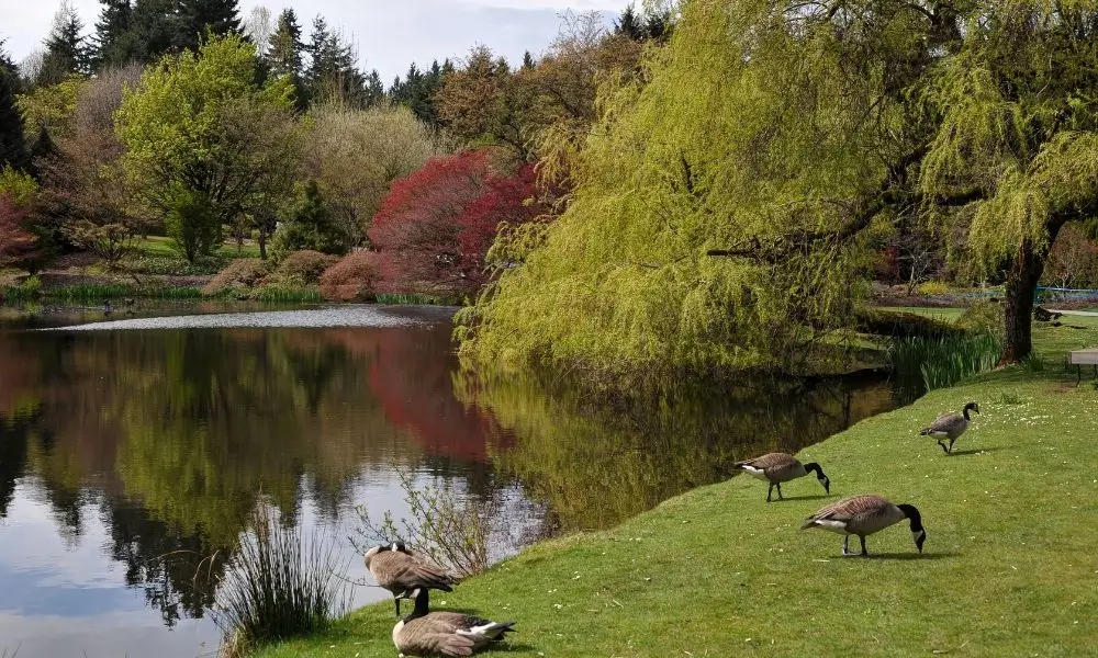 VanDusen Botanical Garden