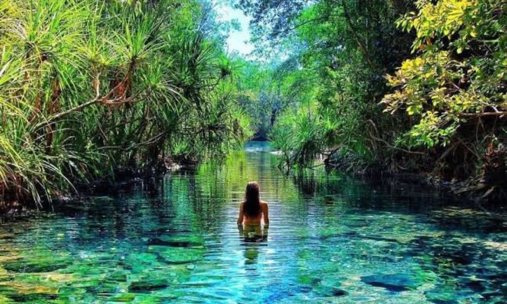 Berry Springs Nature Park