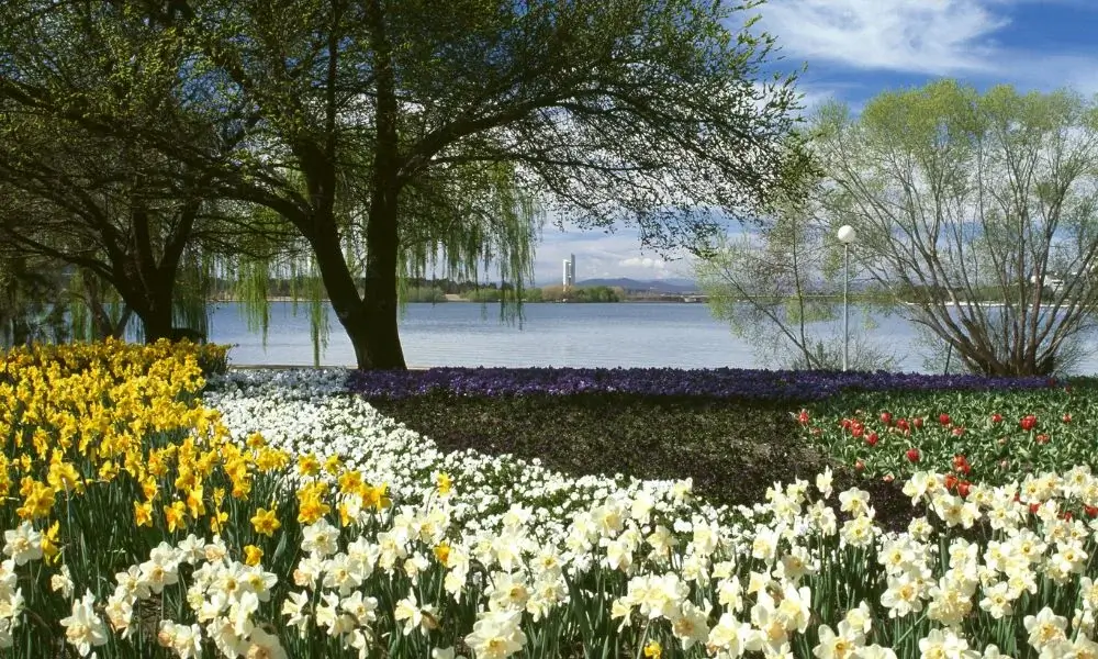 Canberra National Botanic Gardens