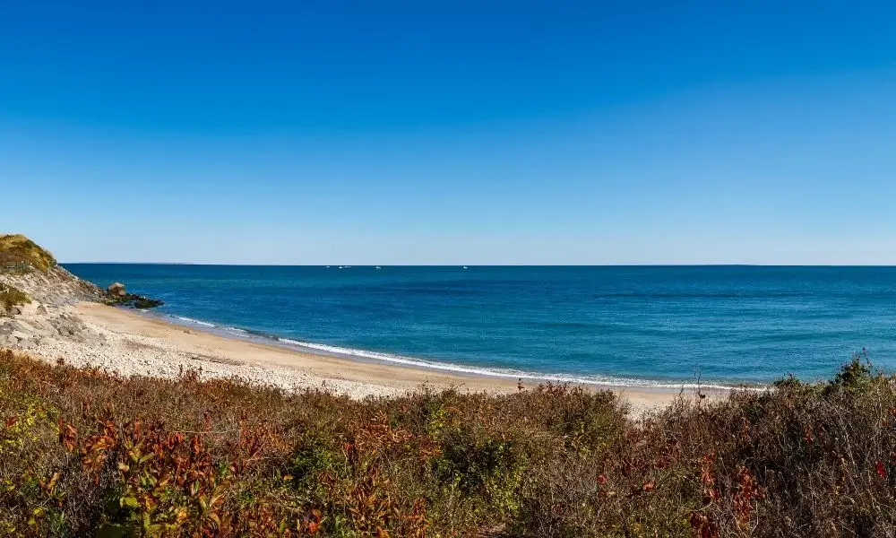 Coastal Ecosystems of Point Pleasant Park