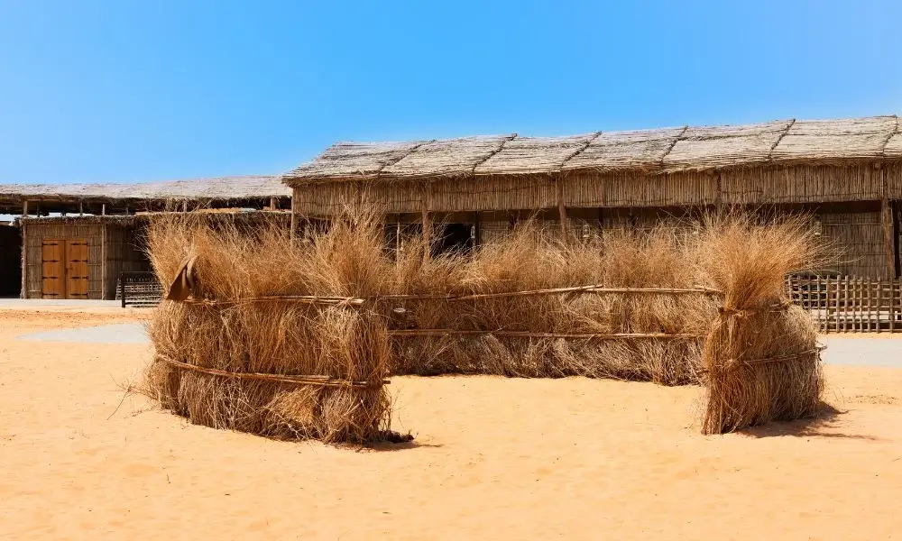 Explore the Culture in Dubai