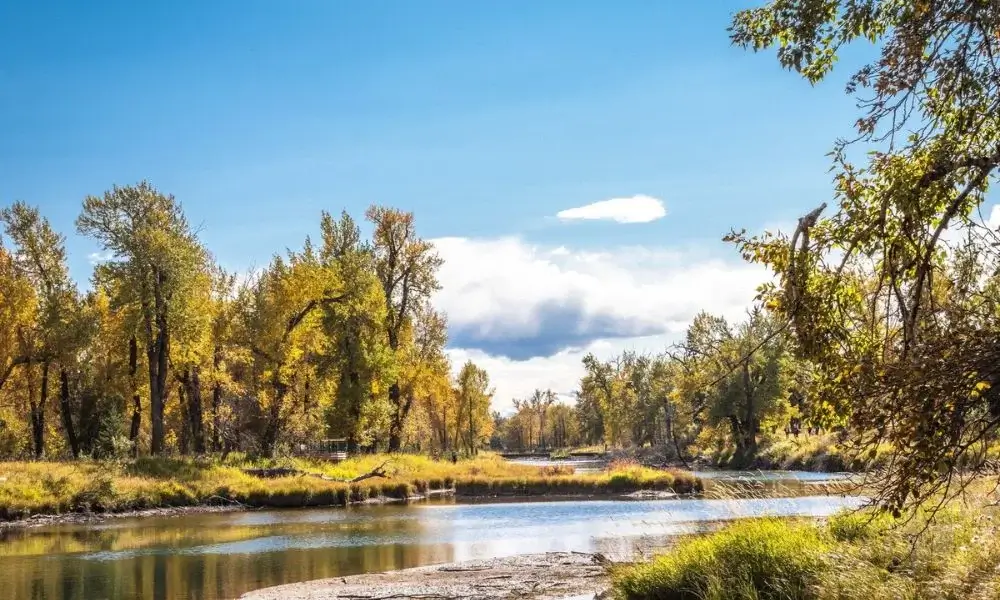Inglewood Bird Sanctuary and Nature Center