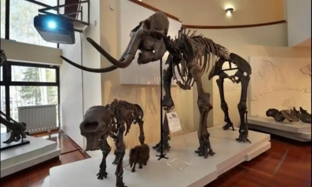 Museum of Nature and Man