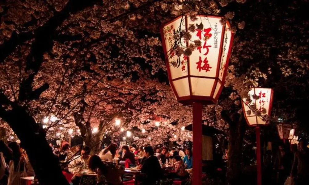 Night in a Machiya, Kyoto