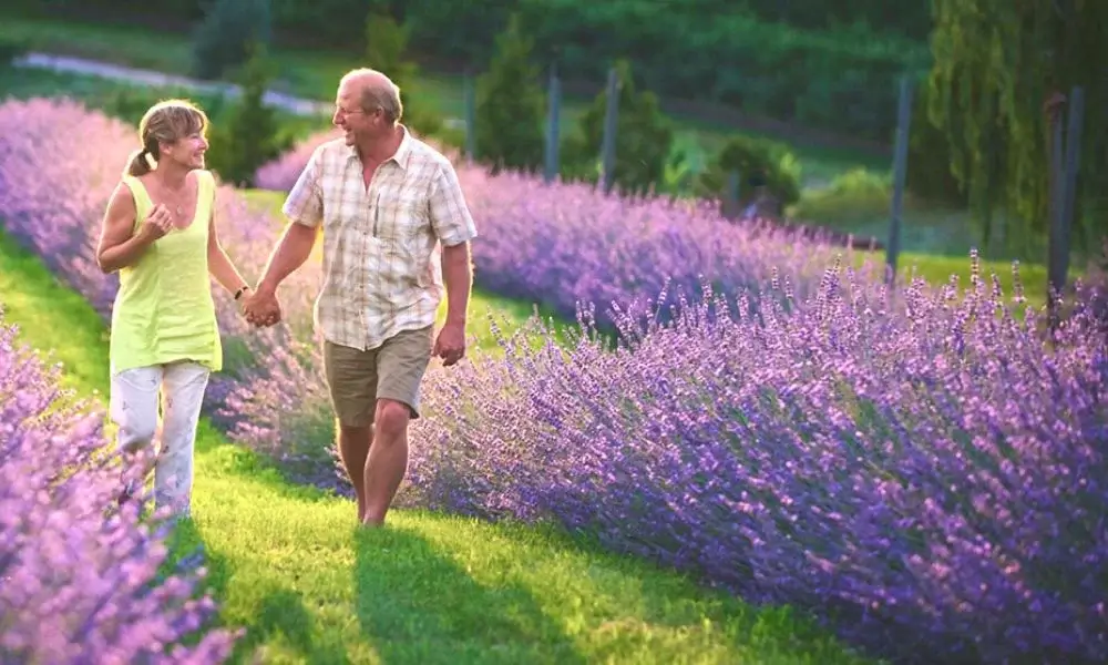 Tour the Lavender and Herb Farm