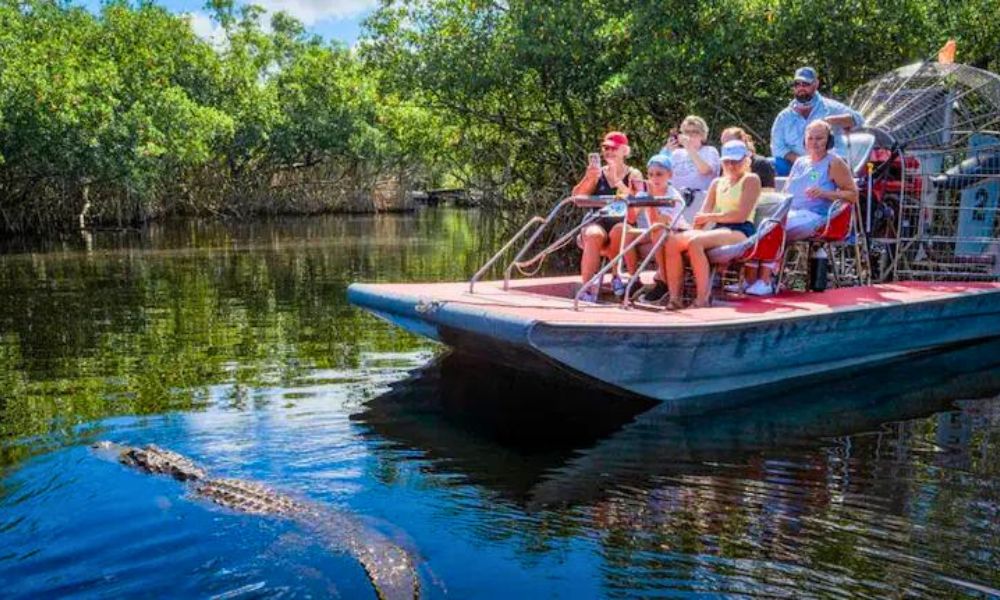 Florida Everglades
