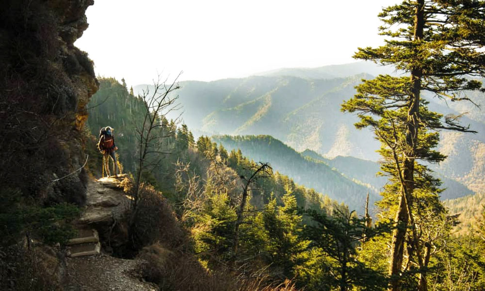 Alum Cave Trail, Gatlinburg TN