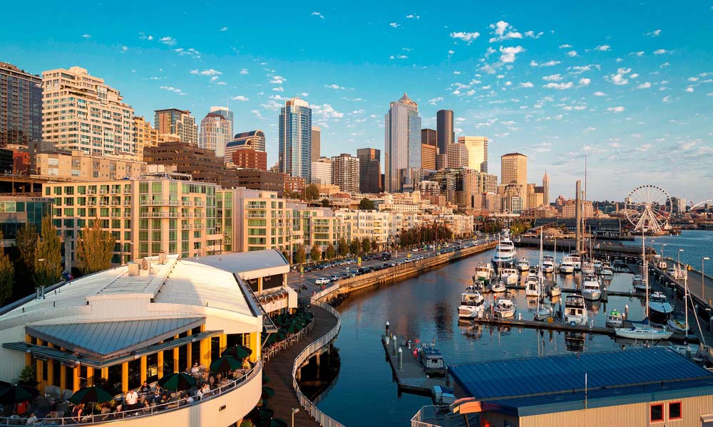 Overlook Walk Seattle